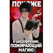 Постер книги Похоже, я шизофреник, пожирающий магию