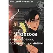 Постер книги Похоже, я шизофреник, пожирающий магию 2
