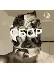 Дмитрий Оргин - Сбор