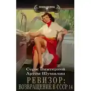 Постер книги Ревизор: возвращение в СССР 14