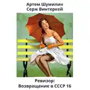 Постер книги Ревизор: возвращение в СССР 16