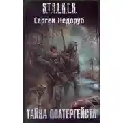 Постер книги S.T.A.L.K.E.R. Тайна полтергейста