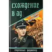 Постер книги Схождение в ад