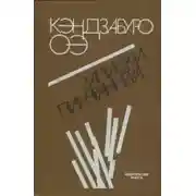 Постер книги Записки Пинчраннера