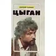 Постер книги Цыган
