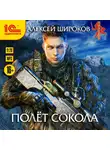  Широков Алексей - Полет сокола
