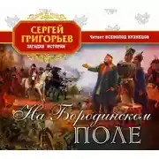 Постер книги На Бородинском поле