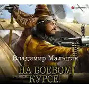 Постер книги На боевом курсе!
