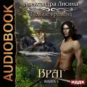 Постер книги Темные времена. Книга 1. Враг