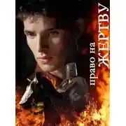 Постер книги Мерлин: Право на жертву