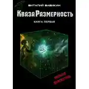Постер книги КвазаРазмерность