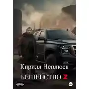 Постер книги Бешенство Z