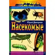 Постер книги Насекомые
