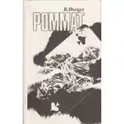 Постер книги Роммат