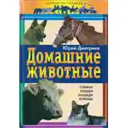 Постер книги Домашние животные