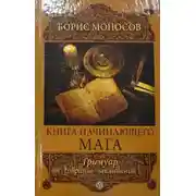 Постер книги Лорды Магии