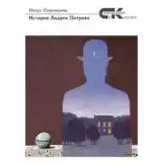 Постер книги История Андрея Петрова