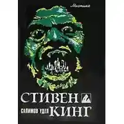 Постер книги Салимов удел