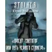 Постер книги S.T.A.L.K.E.R. Проект «Святогор», или Путь Черного Сталкера