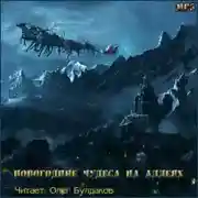 Постер книги Темные аллеи - Новогодние чудеса на аллеях