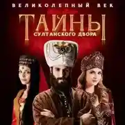 Постер книги Тайны султанского двора