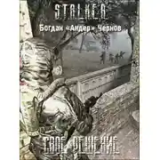 Постер книги S.T.A.L.K.E.R. Своё решение