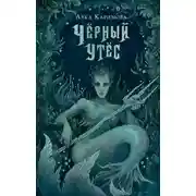 Постер книги Чёрный утёс