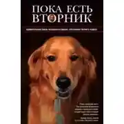 Постер книги Пока есть Вторник