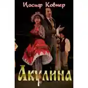 Постер книги Акулина