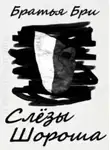 Братья Бри - Слезы Шороша. Книга 3