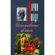 Постер книги Исчезновение святой