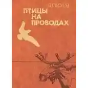 Постер книги Птицы на проводах