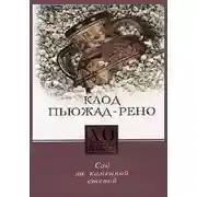 Постер книги Сад за каменной стеной