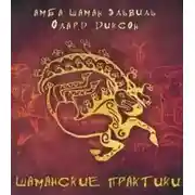 Постер книги Шаманские практики