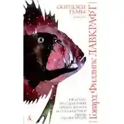 Постер книги Скиталец тьмы