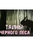Валерий Столяревский - Тайны чёрного леса