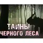 Постер книги Тайны чёрного леса