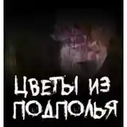 Постер книги Цветы из подполья