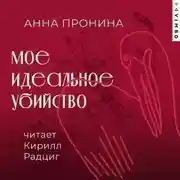 Постер книги Мое идеальное убийство
