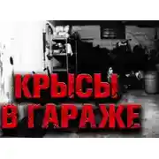 Постер книги Крысы в гараже