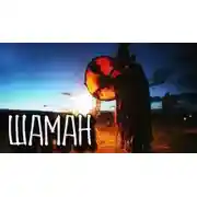 Постер книги Шаман