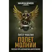 Постер книги Полёт «Молнии»