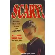 Постер книги Тринадцатый день рождества