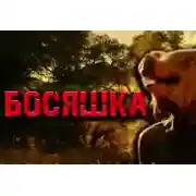 Постер книги Босяшка