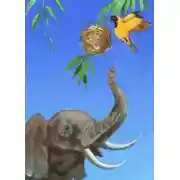 Постер книги Птичка и слон