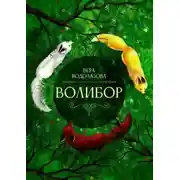 Постер книги Волибор