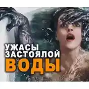 Постер книги Ильюшин пруд