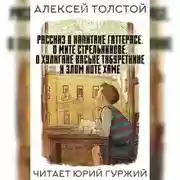 Постер книги Рассказ о капитане Гаттерасе, о Мите Стрельникове, о хулигане Ваське Табуреткине и злом коте Хаме