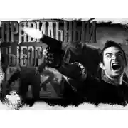 Постер книги Правильный выбор