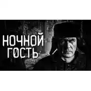 Постер книги Ночной гость
